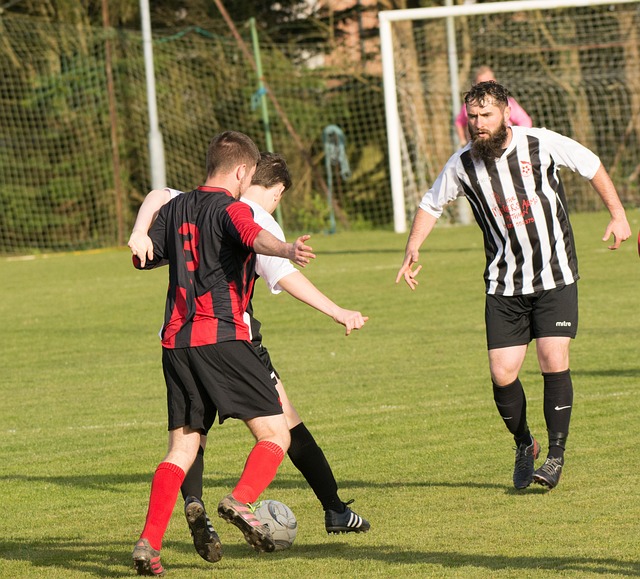 可能对整个 可能对整个