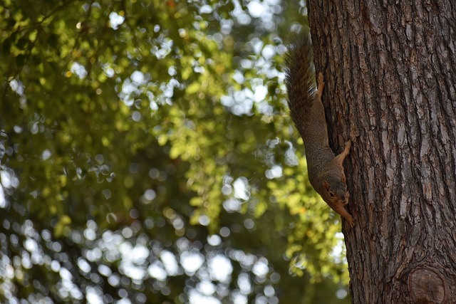 冤枉进球 冤枉进球