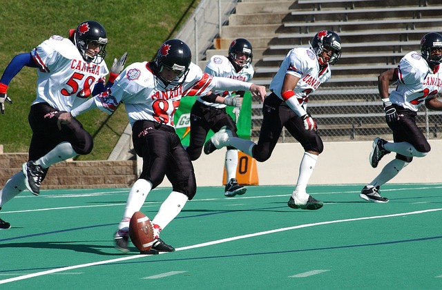 詹姆斯的球 詹姆斯的球