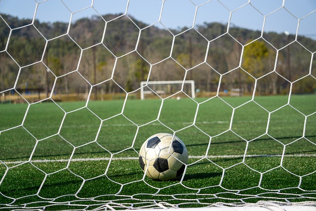 孤军奋战者 孤军奋战者