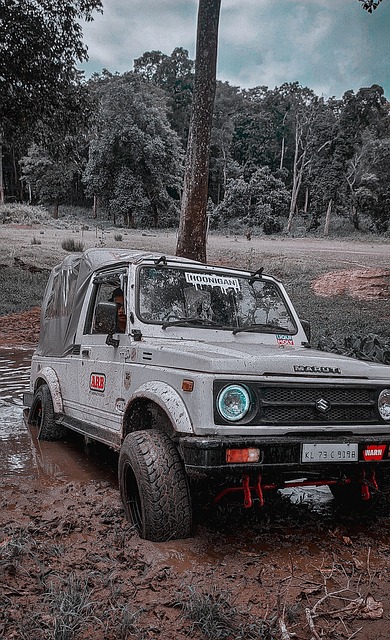 他根据场上 他根据场上