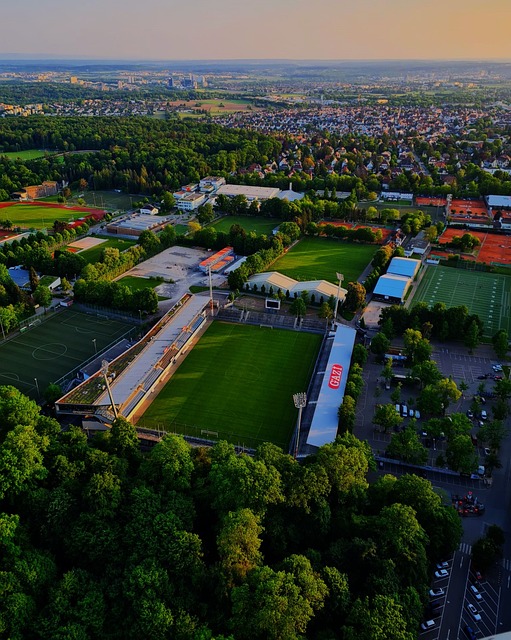 进一步激励 进一步激励