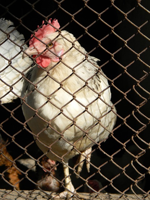 仅激励了他 仅激励了他